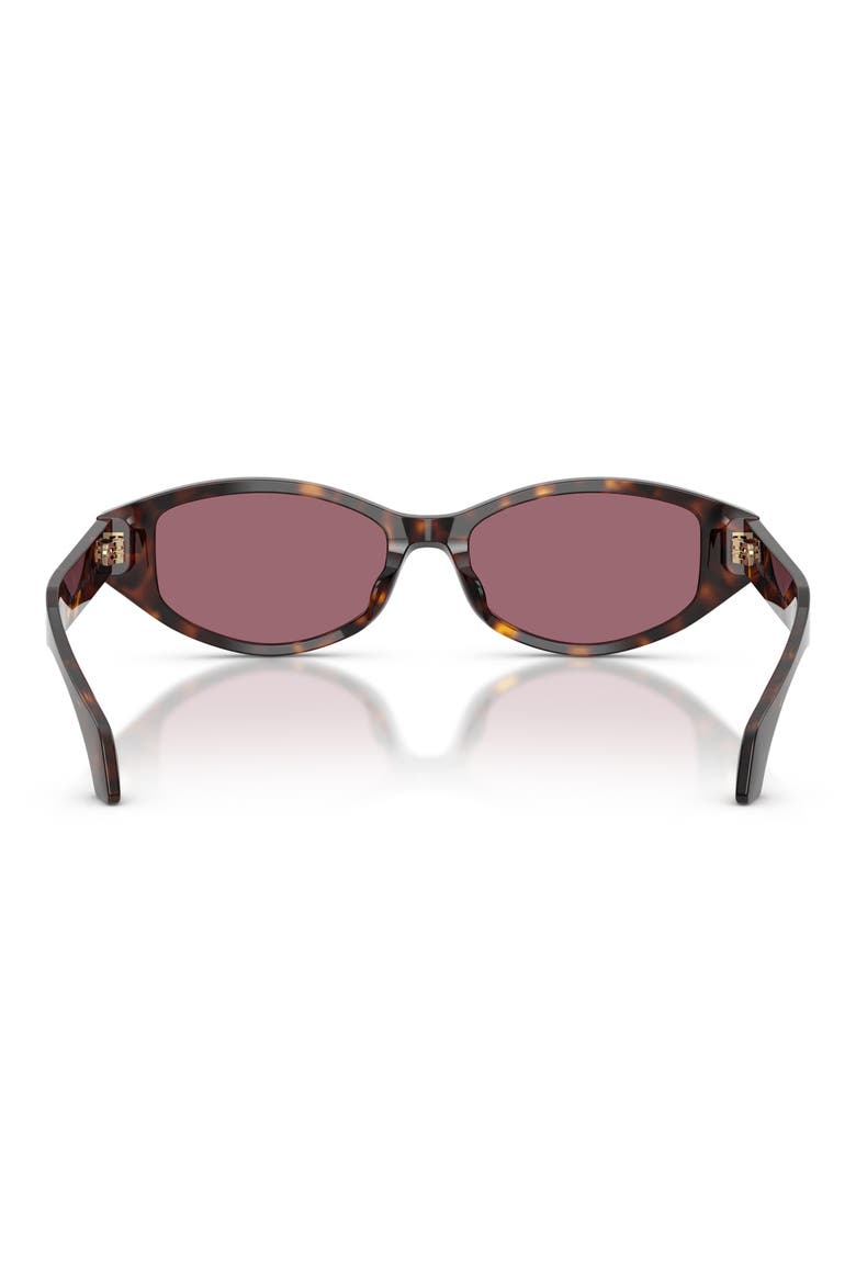 54mm Cat Eye Sunglasses, Alternate, color, HAVANA / VIOLET