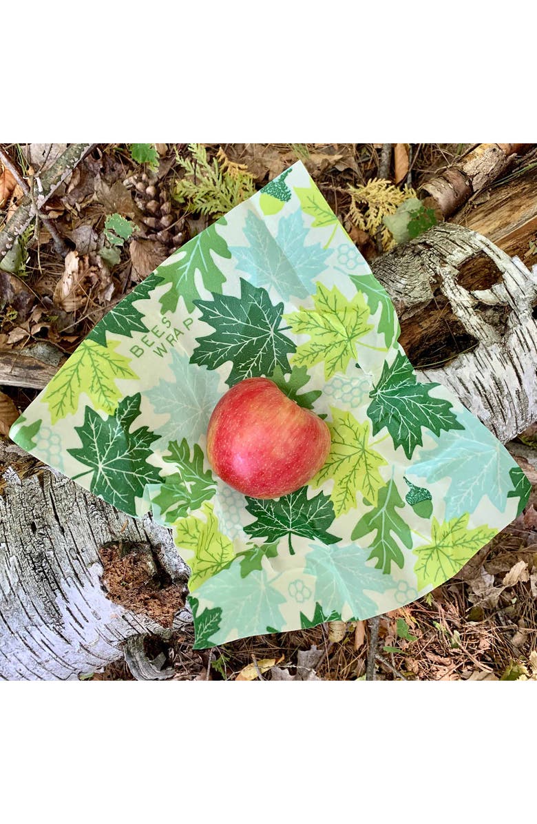 Bee's Wrap 6-Pack Beeswax Food Wraps, Alternate, color, Forest