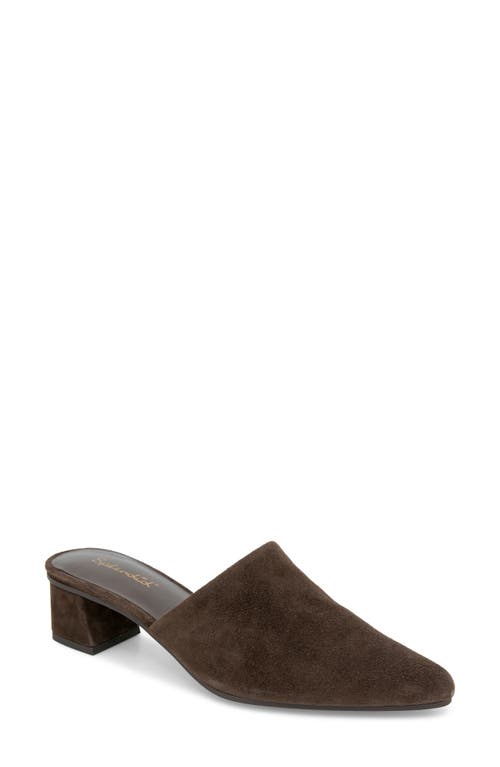 Splendid Lorelei Mule In Brown
