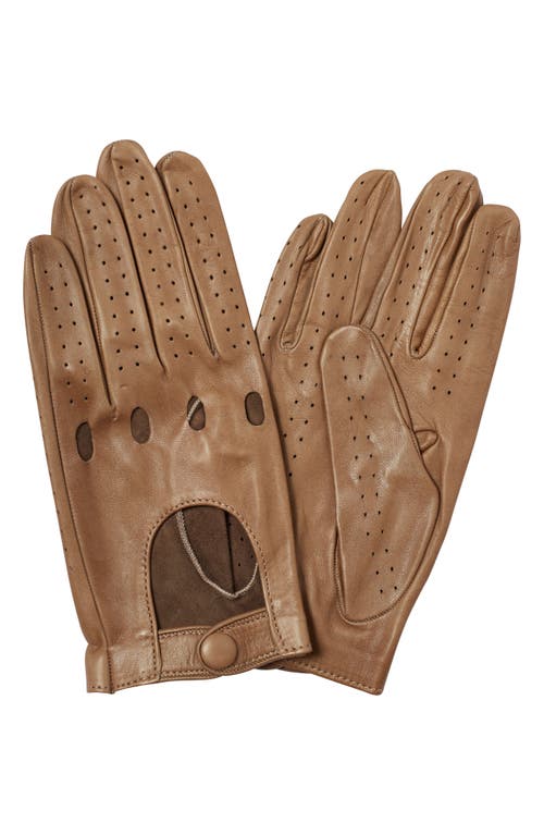 Paula Rowan Noel Perforated Leather Gloves In Taupe