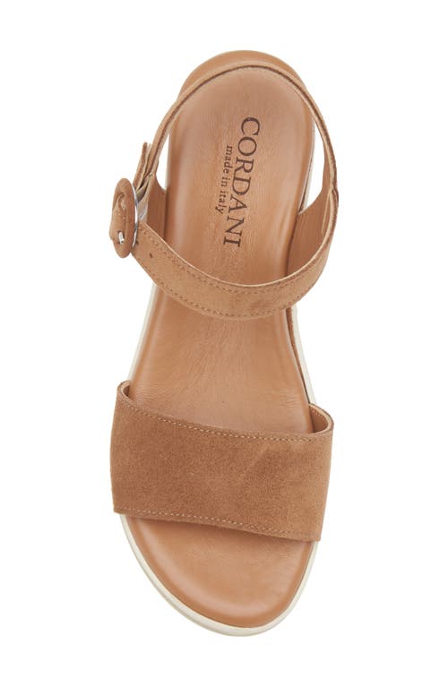 Cordani Arielle Ankle Strap Platform Wedge Sandal In Clove