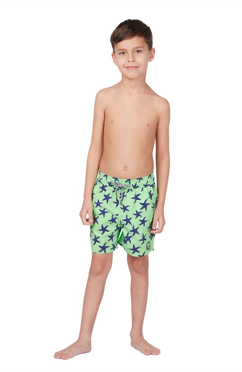 Tom & Teddy Starfish Print Swim Shorts, Alternate, color, 