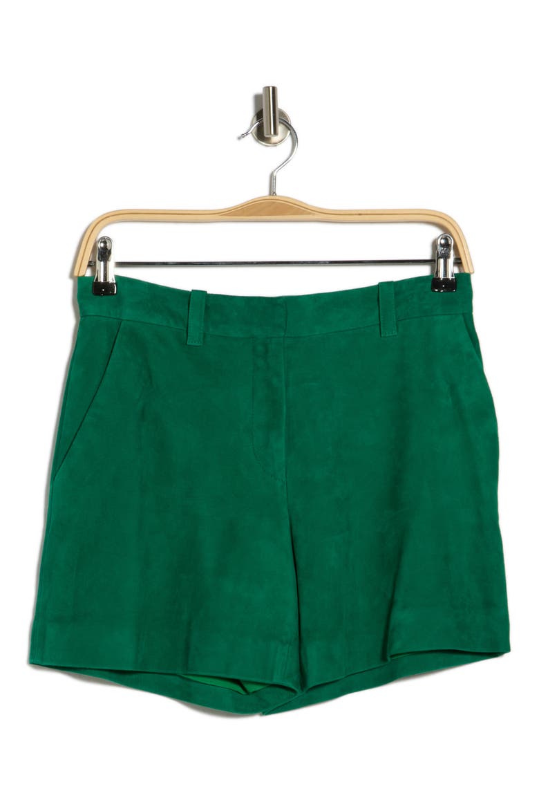 Suede Shorts, Alternate, color, GREEN