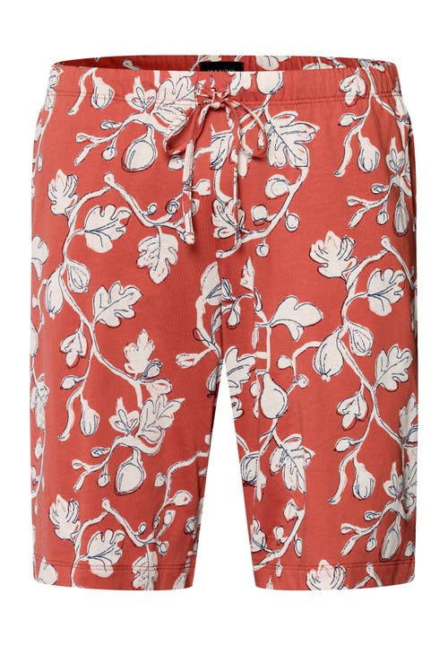 Hanro Night And Day Drawstring Cotton Shorts In Mediterranean Botanics