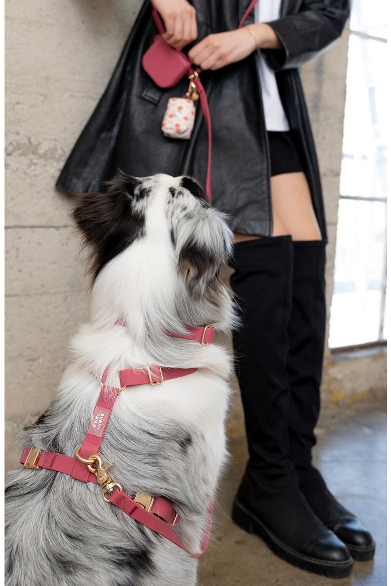 Cloud Lite Waterproof Dog Harness, Alternate, color, MULBERRY BURGUNDY