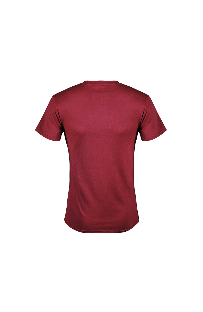 Gilmore Girls Men's Gilmore Girls Distressed Luke's Diner Logo Graphic T-Shirt, Alternate, color, Cardinal