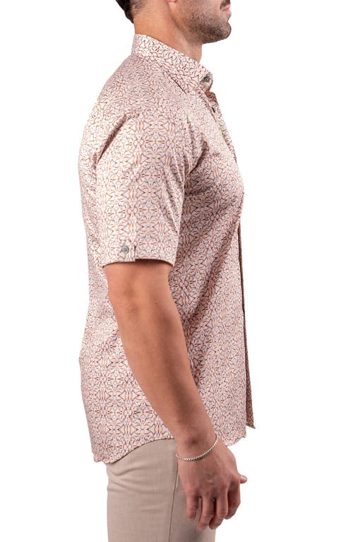 Maceoo Galileo Resistance2202 Brown Short Sleeve Cotton Button-up Shirt