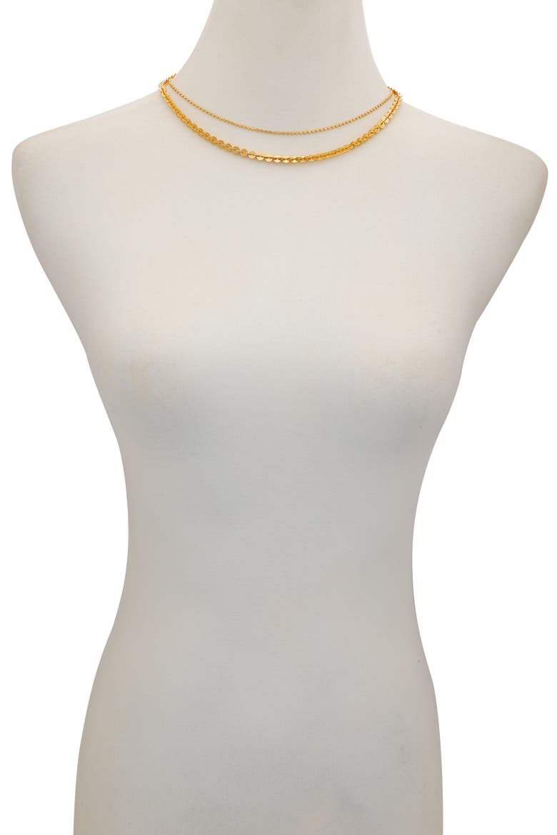 Set of 2 Mixed Chain Necklaces, Alternate, color, GOLD TONE