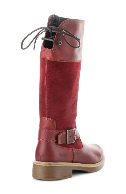 Bos. & Co. Mateo Waterproof Knee High Boot In Burgundy