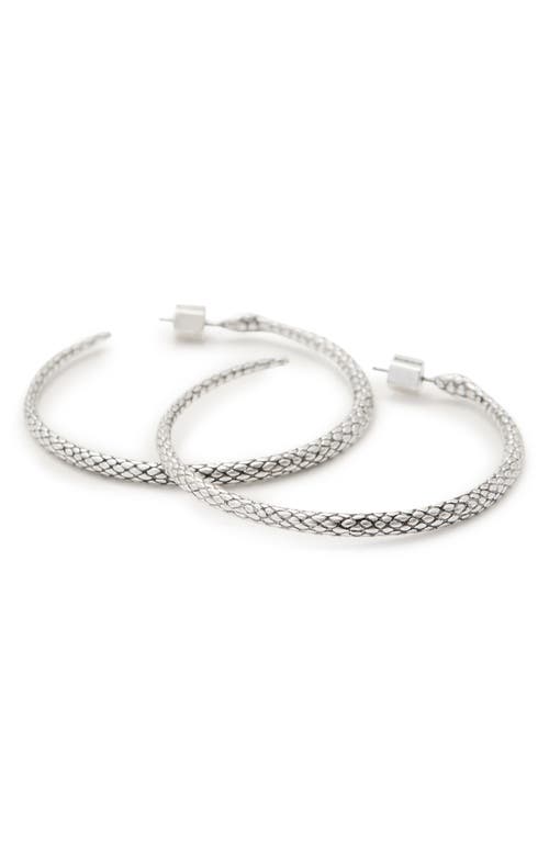 Shop Allsaints Serpentine Hoop Earrings In Warm Silver