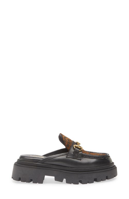 Roberto Cavalli Leopard Platform Lug Mule In Black