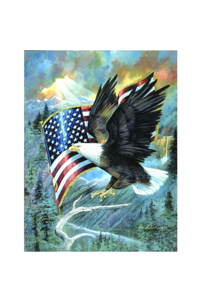 American Eagle 500 piece Jigsaw Puzzle for Adults, Alternate, color, Multicolor