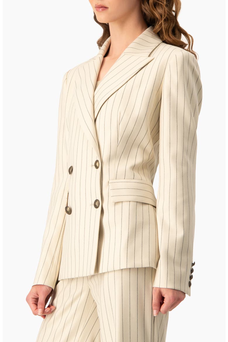 Pinstripe Double-Breasted Blazer, Alternate, color, Beige