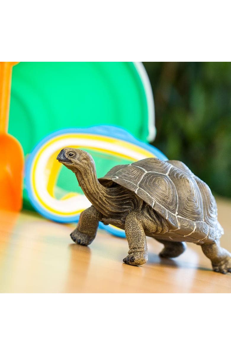 Safari Ltd. Tortoise Toy, Alternate, color, NO COLOR