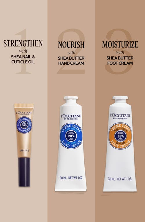 L'occitane Shea Butter Classics Set $64 Value In Transparent