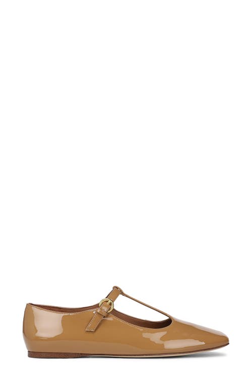 Sarto By Franco Sarto Flexa Astoria T-strap Flat