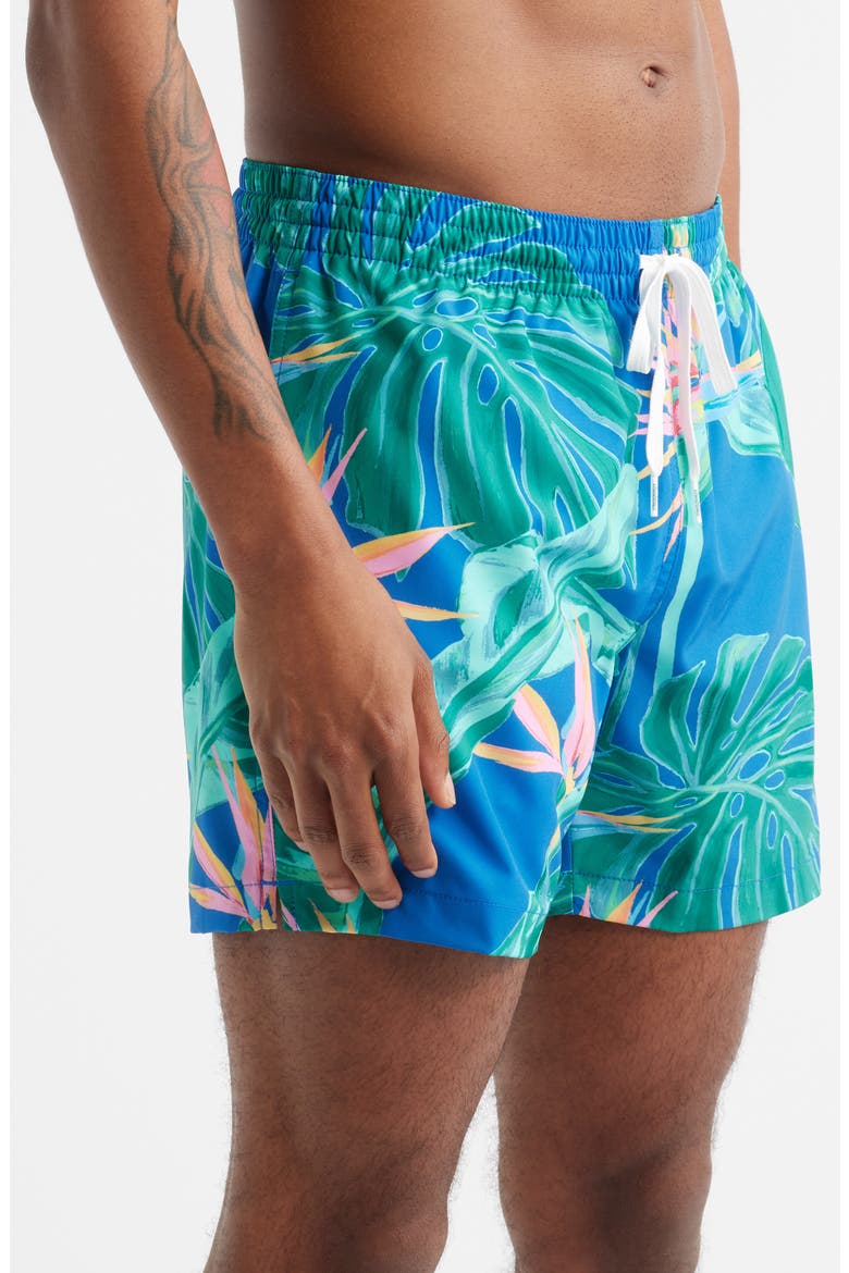 The Blue Birds of Paradise 5.5-Inch Swim Trunks, Alternate, color, MEDIUM BLUE