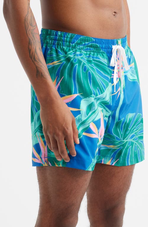 Chubbies The Blue Birds Of Paradise 5.5-inch Swim Trunks In Blue