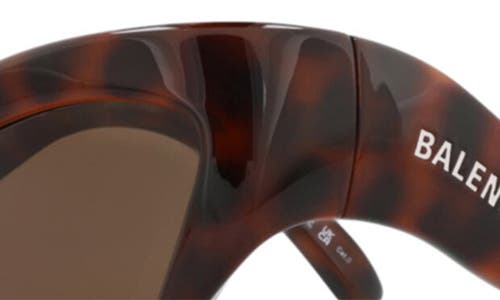 Balenciaga Acetate Havana Sunglasses In Brown