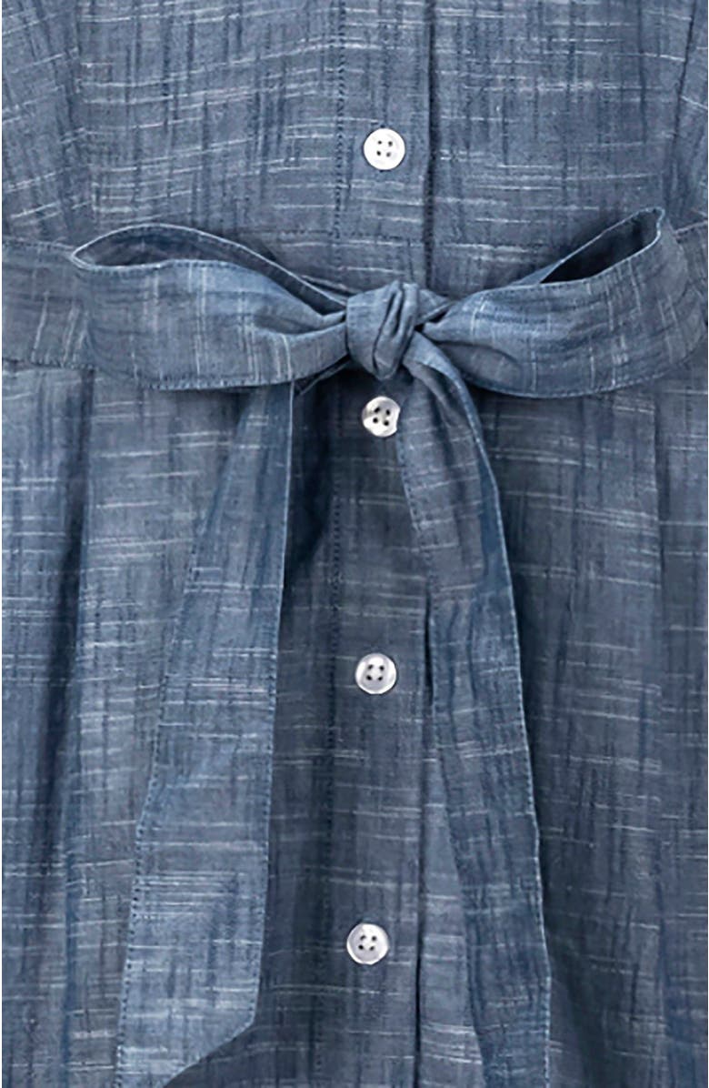 Hope & Henry Women's Organic Button Front Chambray Dress, Alternate, color, Blue Chambray