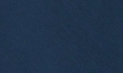 Stitchdrop Audubon V-neck Dress In Navy