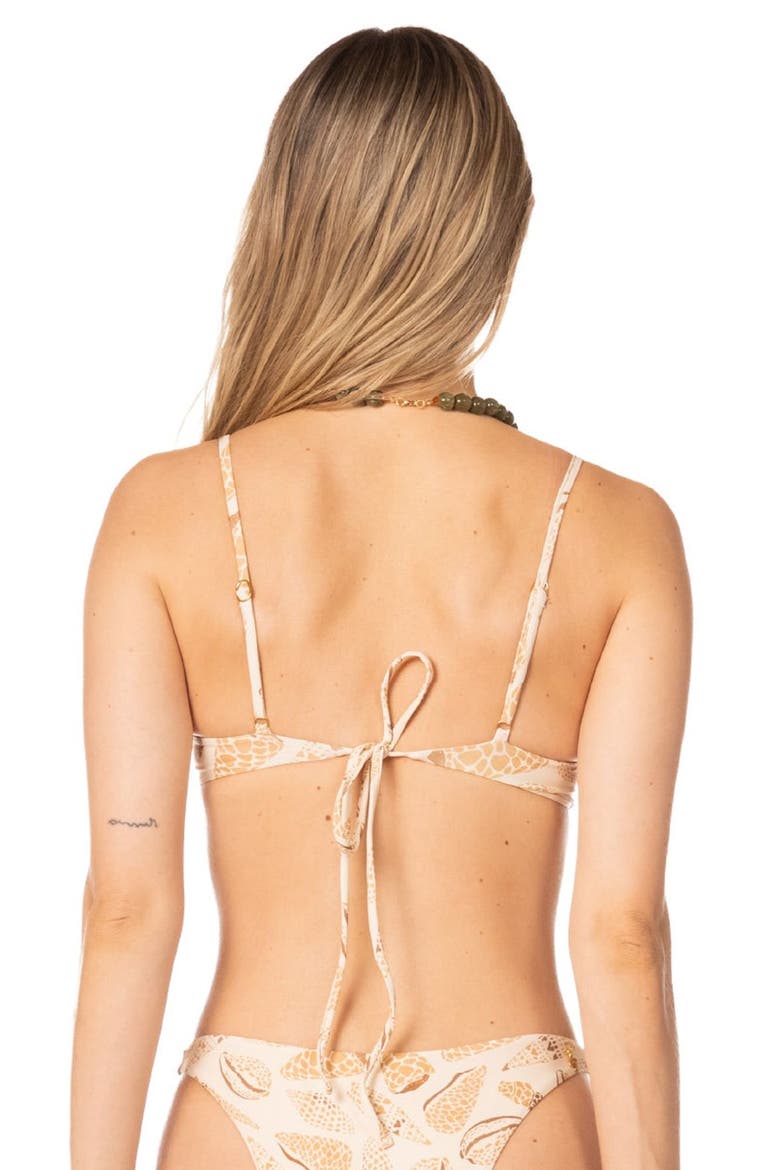 Shell Tides Print Underwire Bikini Top, Alternate, color, Beige Shell Print