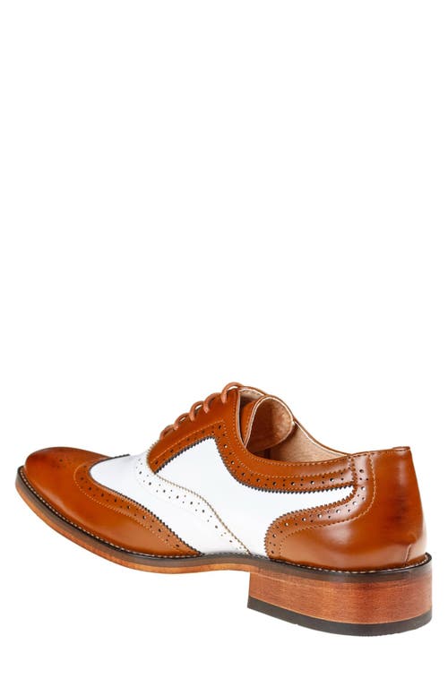 Gino Vitale Two-tone Wingtip Oxford In Brown