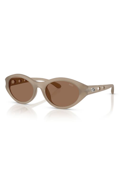 Shop Diesel ® 53mm Oval Sunglasses In Opal Transpar Grey/dark Brown