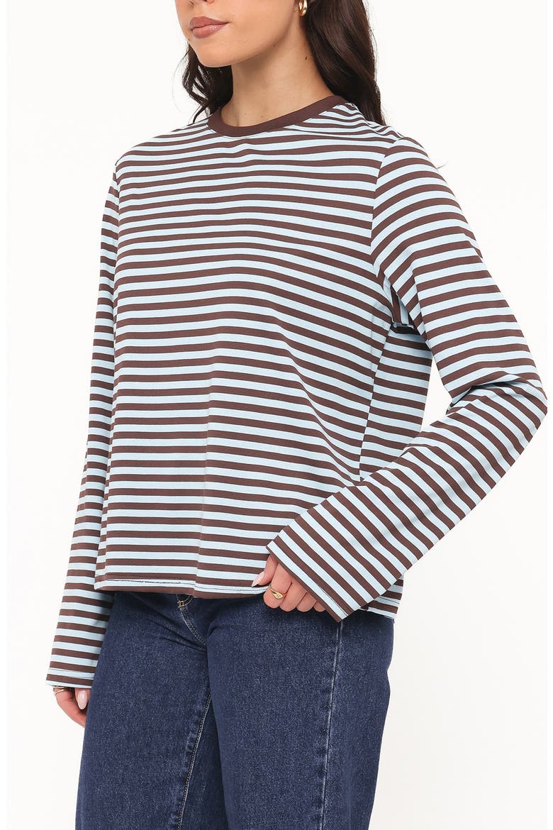 Ruva Stripe Long Sleeve T-Shirt, Alternate, color, BROWN BLUE STRIPE