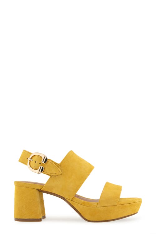 AEROSOLES AEROSOLES CAMERA PLATFORM SANDAL 