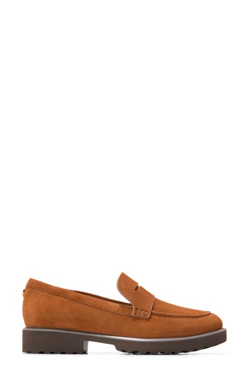 Cole Haan Gwendolyn Penny Loafer In Brown