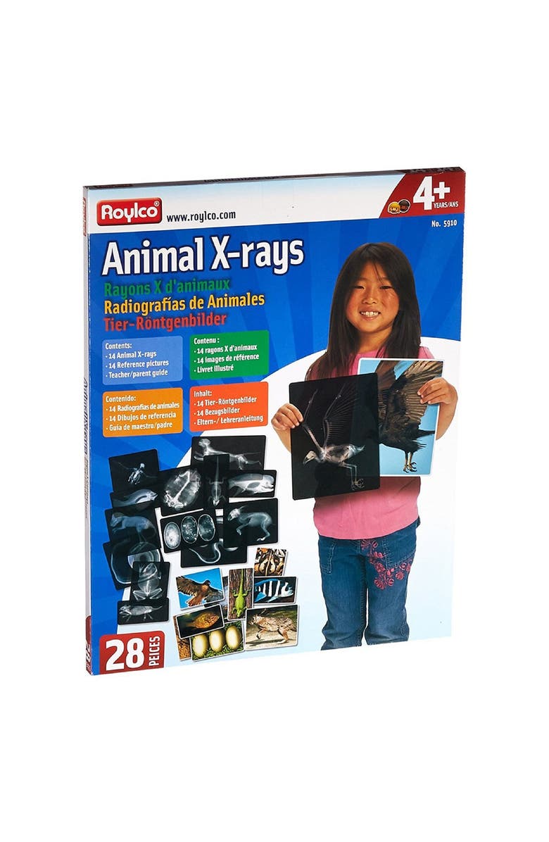 Roylco Transparent Animal X-Rays and Pictures, Alternate, color, Multicolor