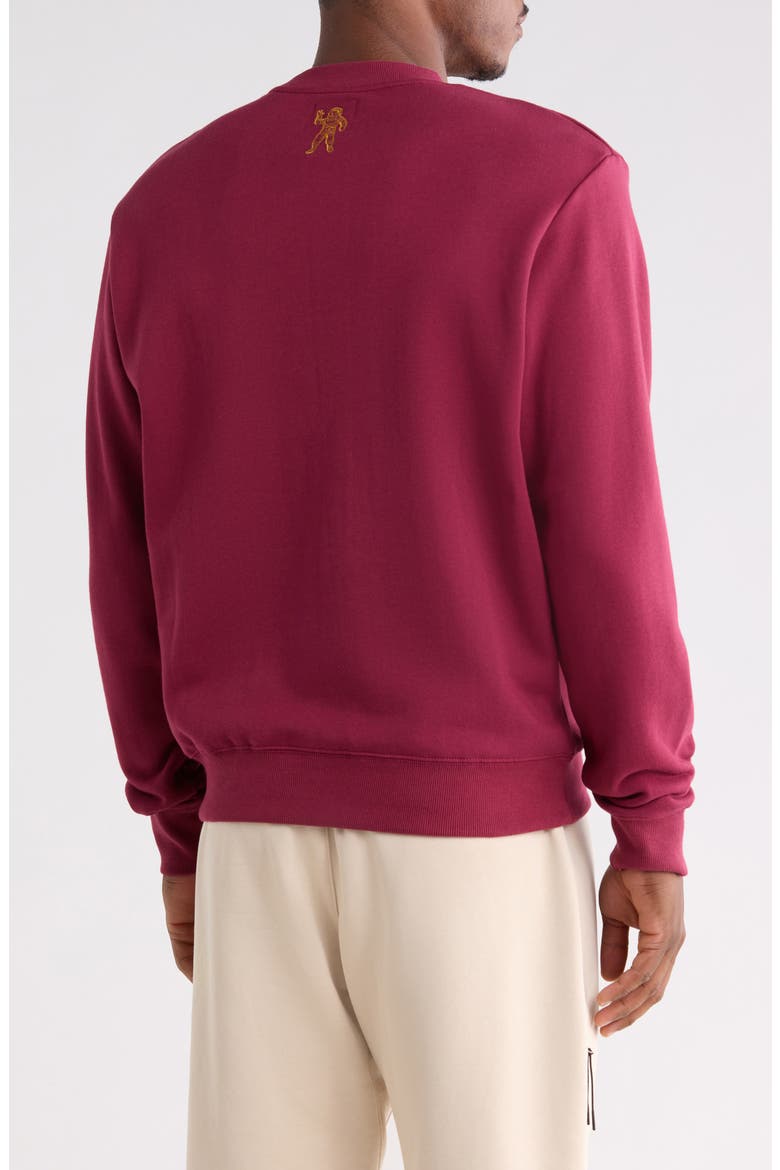 BB Jet Set Embroidered Graphic Sweatshirt, Alternate, color, RHODODENDRON