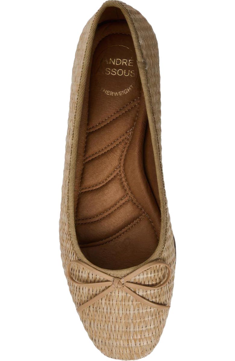 André Assous Haley Ballet Flat, Alternate, color,