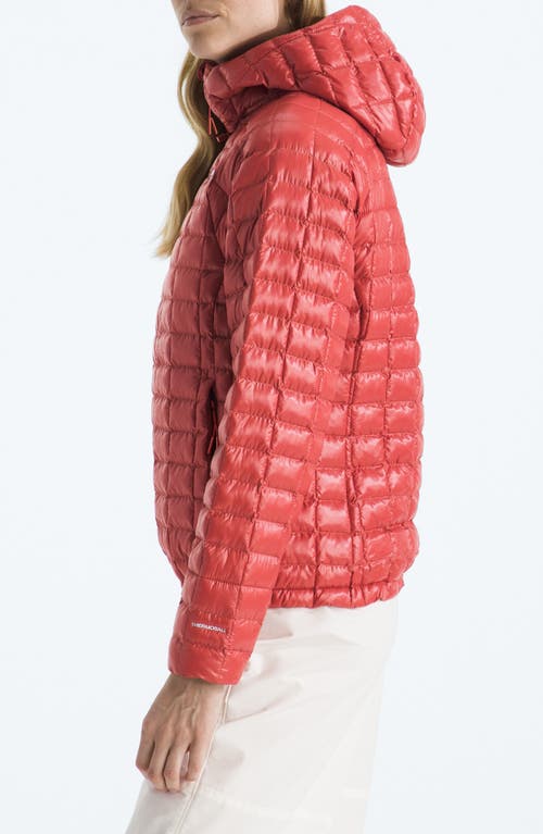 The North Face Thermoball Quilted Hooded Jacket In Red
