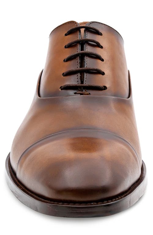 Mezlan Bocelli Cap Toe Oxford In Brown