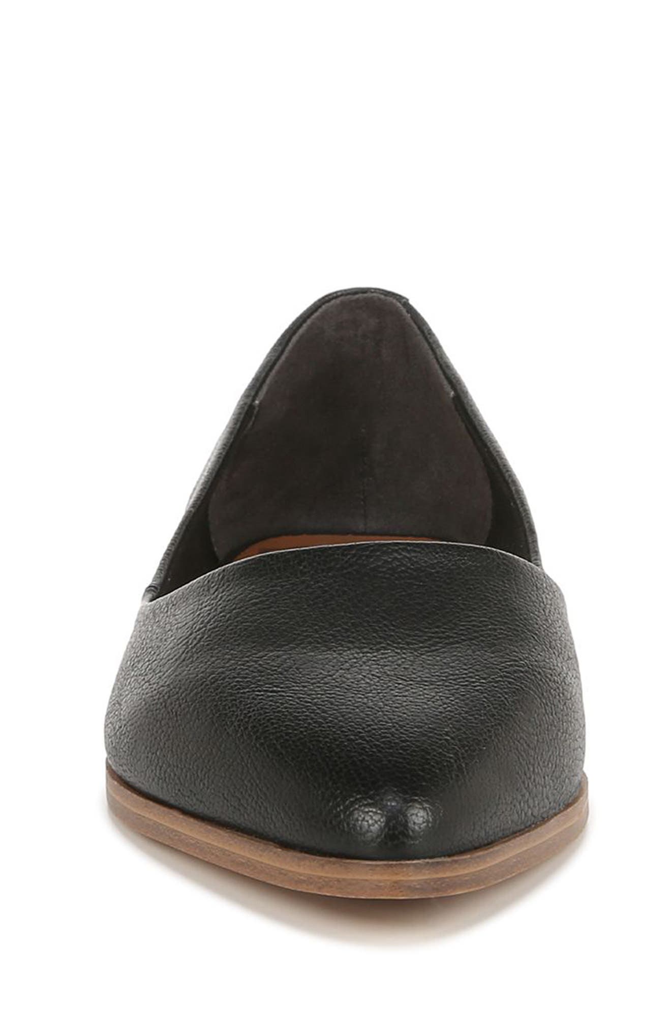 Zodiac Hill Pointed Toe Flat, Alternate, color, 