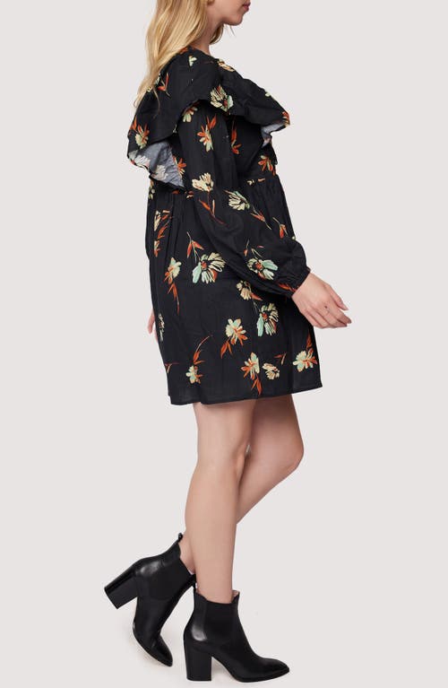 Lost + Wander Field Of Dreams Ruffle Long Sleeve Minidress