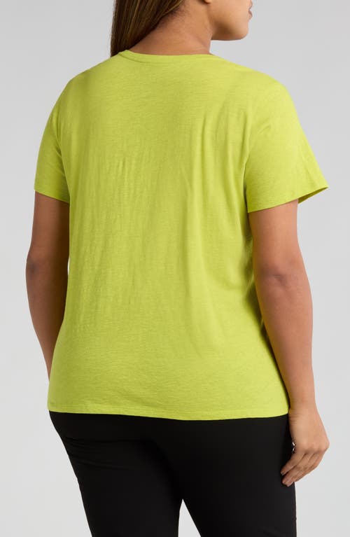 Eileen Fisher Easy V-neck Organic Cotton T-shirt In Chartreuse