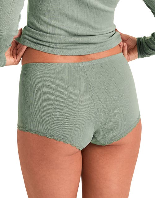 Adore Me Pointelle Short In Animal Print