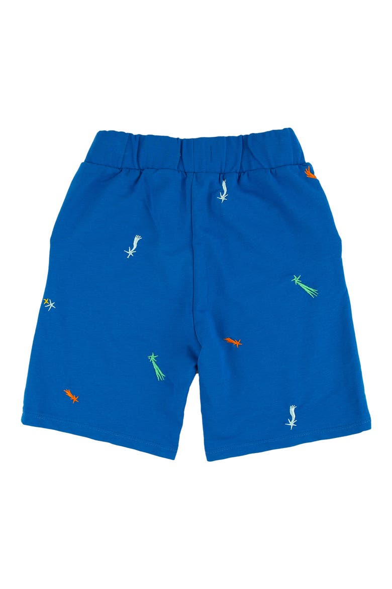 Kids' Rusty Stargazer Embroidered Shorts, Alternate, color, STARGAZER