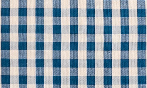 Pendleton Reversible Fringe Organic Cotton Throw In Blue
