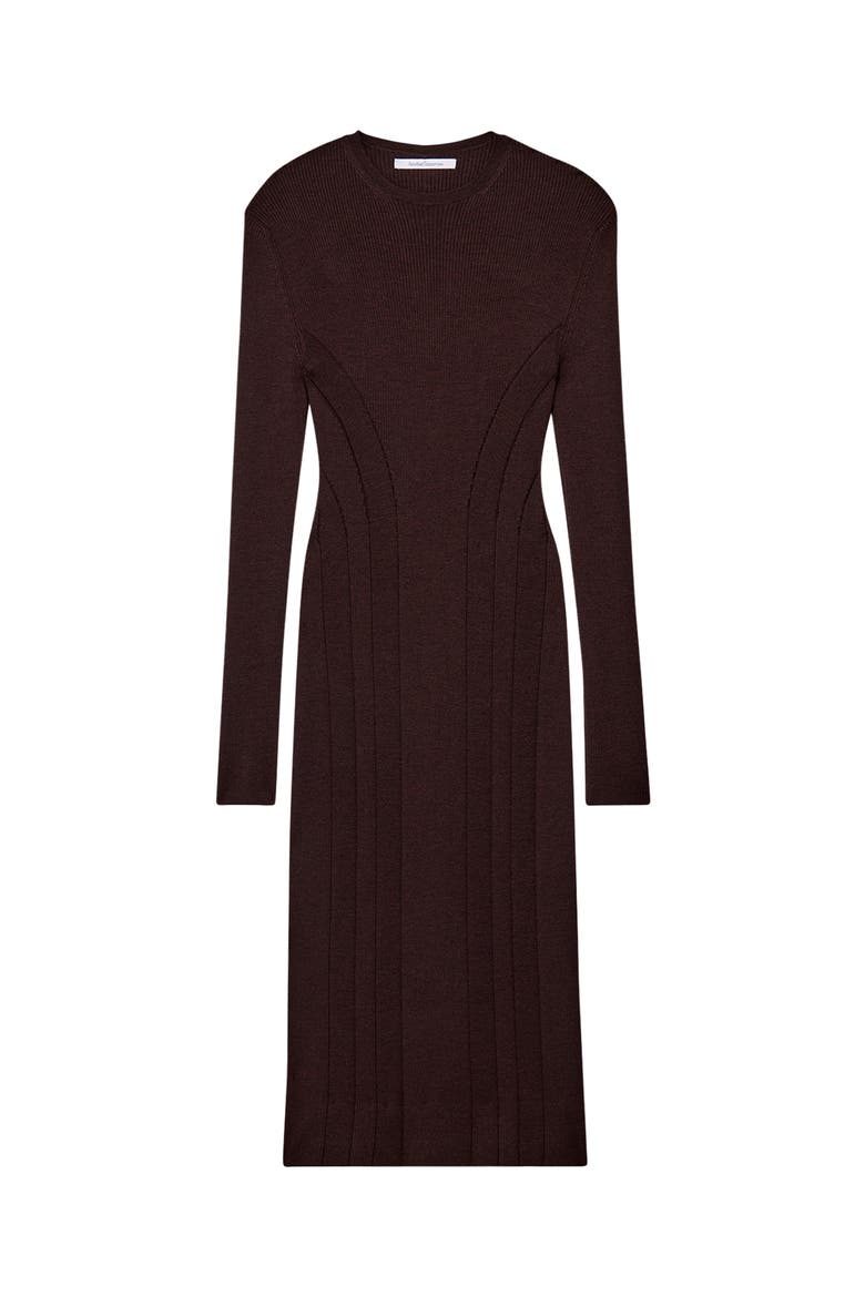 Rib Knitwear Dress, Alternate, color, Chocolate