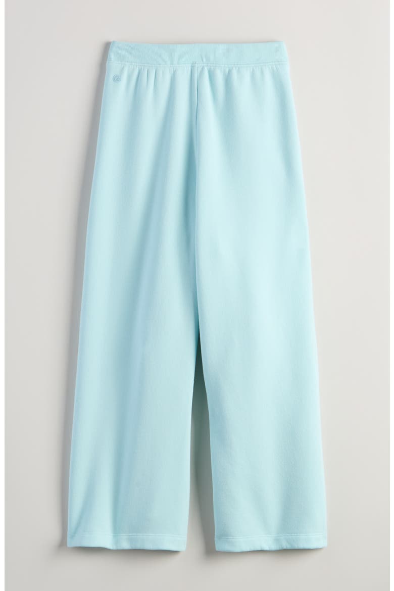 Cloud Soft Pleated Wide Leg Knit Pants, Alternate, color, BLUE GLOW