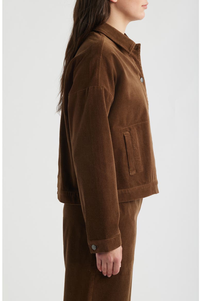 Classic Collar Stretch Organic Collar Corduroy Jacket, Alternate, color, MAHOGANY