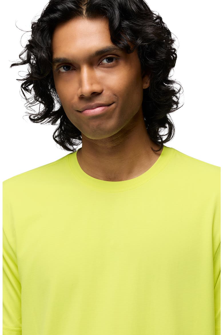 Equalize Crewneck T-Shirt, Alternate, color, GECKO POP
