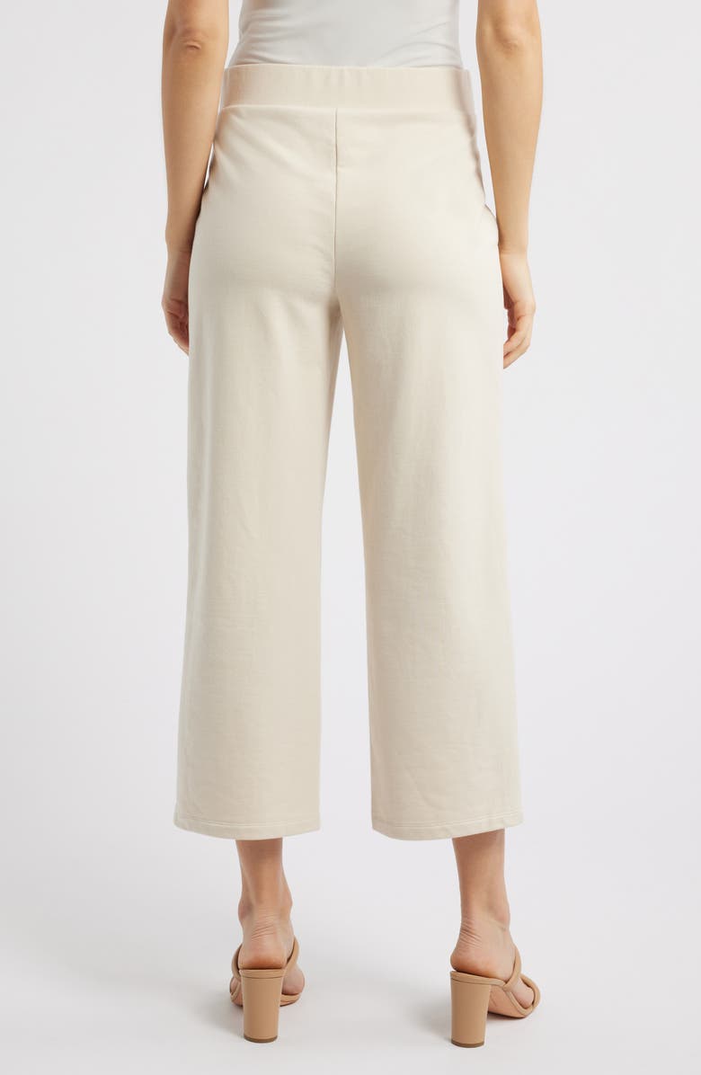 Anne Klein Pull-On Crop Wide Leg Pants, Alternate, color, Soft Latte