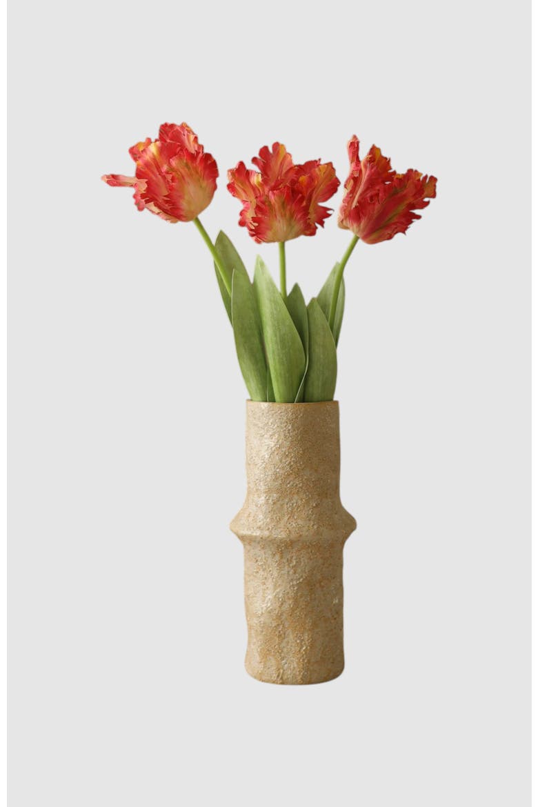 Pink Parrot Tulip Flower, Alternate, color, Pink