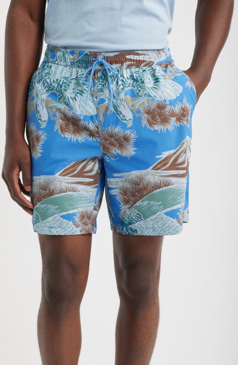 Rainier Everyday Hybrid Shorts