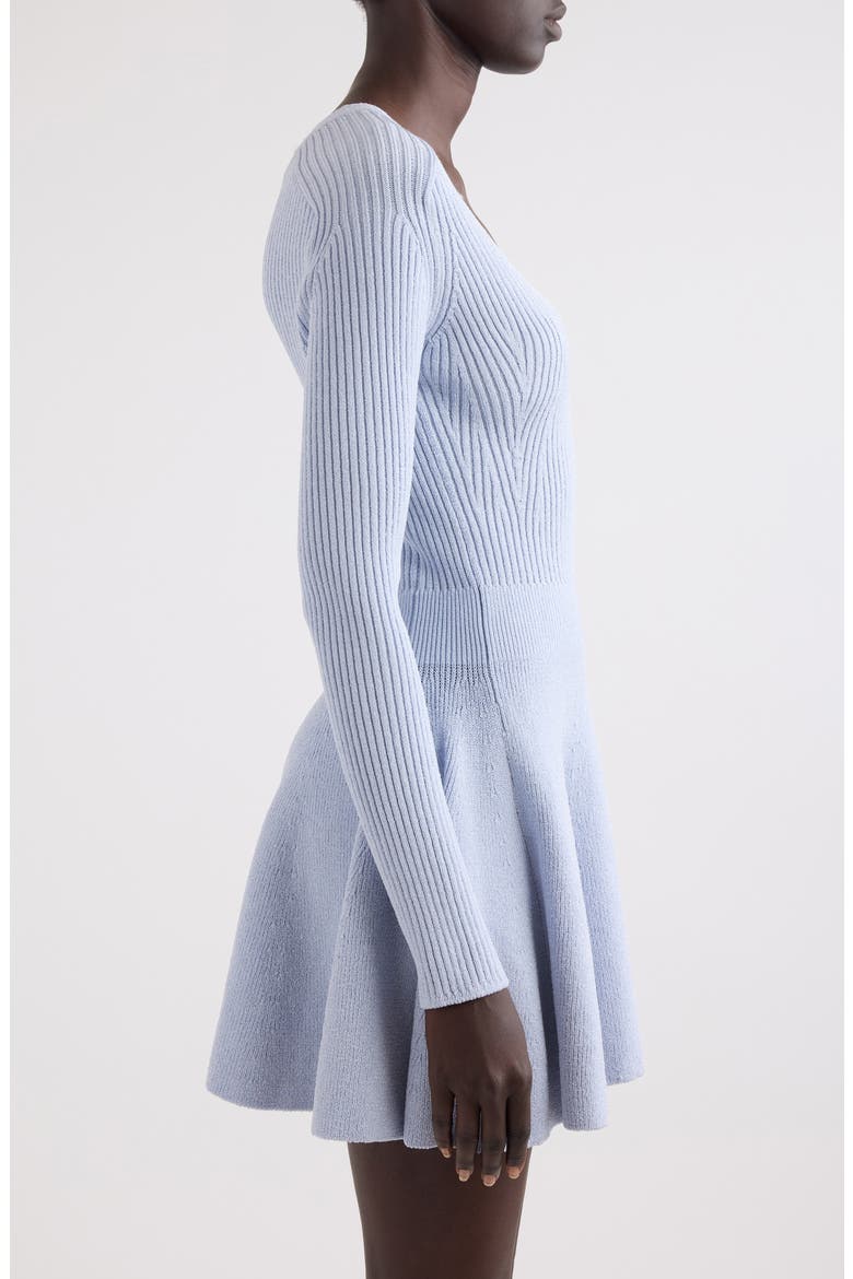 Long Sleeve Rib Sweater Dress, Alternate, color, 6AC TRANSPARENT